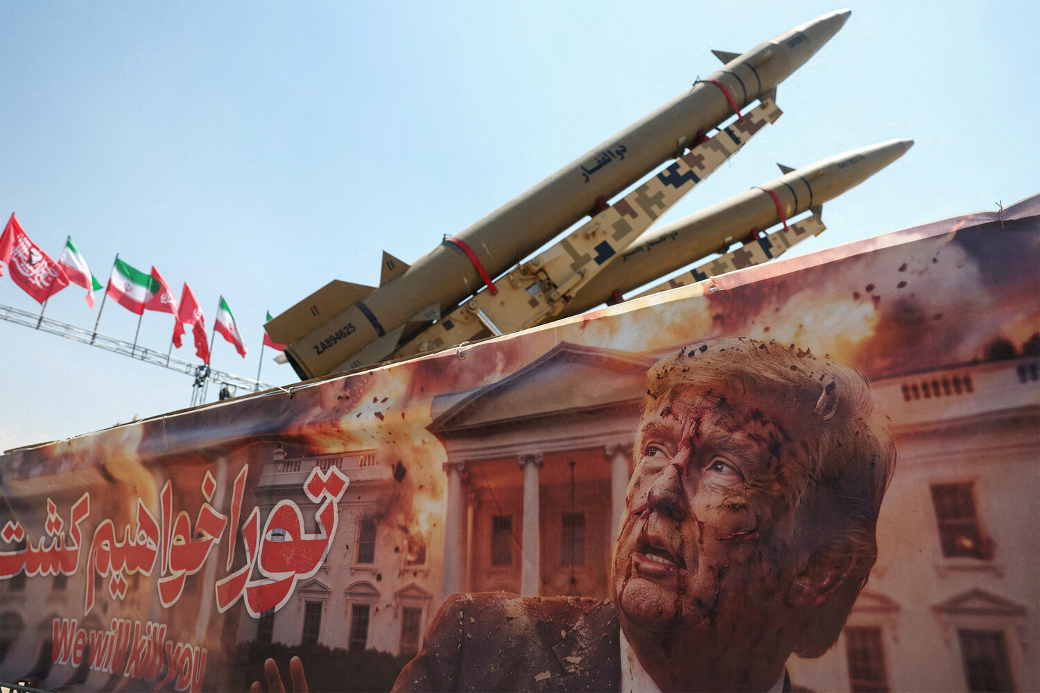 12_294.jpg