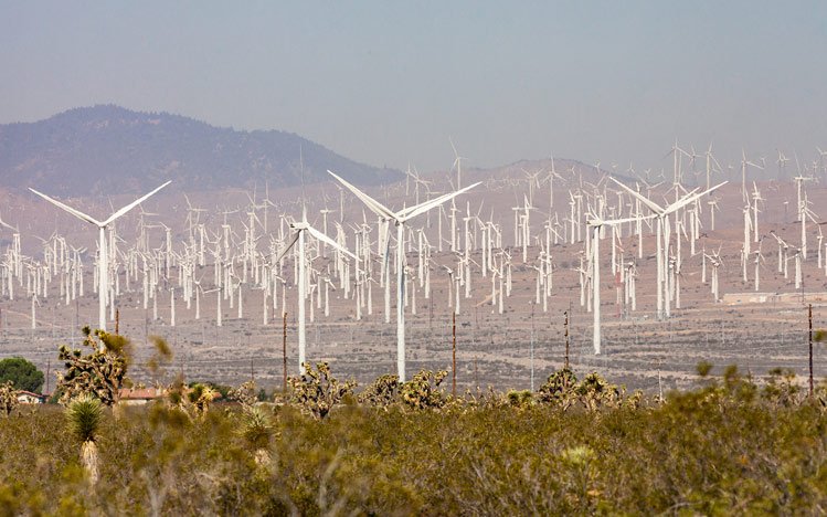 Worlds-Largest-Wind-Farms.jpg