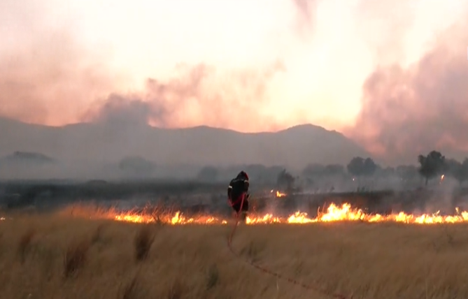 Φωτό.png